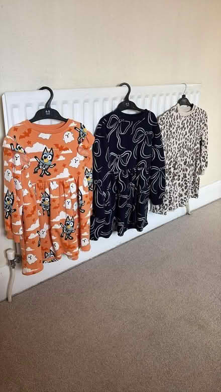 Photo of free Girl's dresses (Coxheath ME17) #1