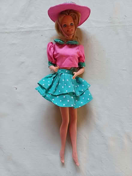 Photo of free Cindy dolls (Ringmer BN8) #4