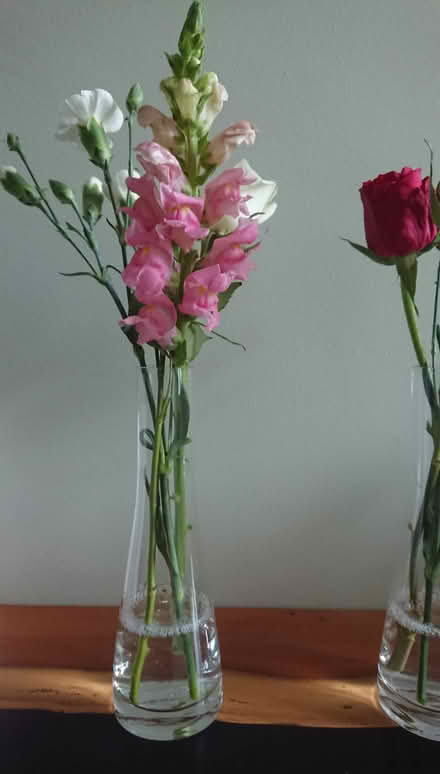 Photo of free Sets of glass table vases (Cork city centre) #3