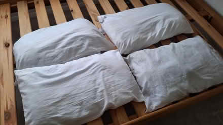 Photo of free duvets and almost new pillows (Whitehawk BN2) #1