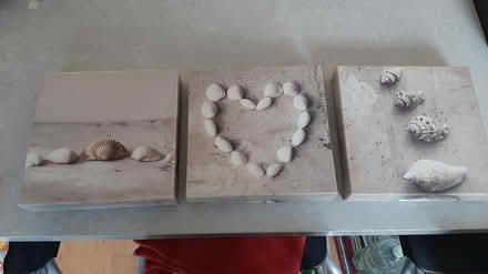 Photo of free set of 3 shell pictures (peacehaven BN10) #3