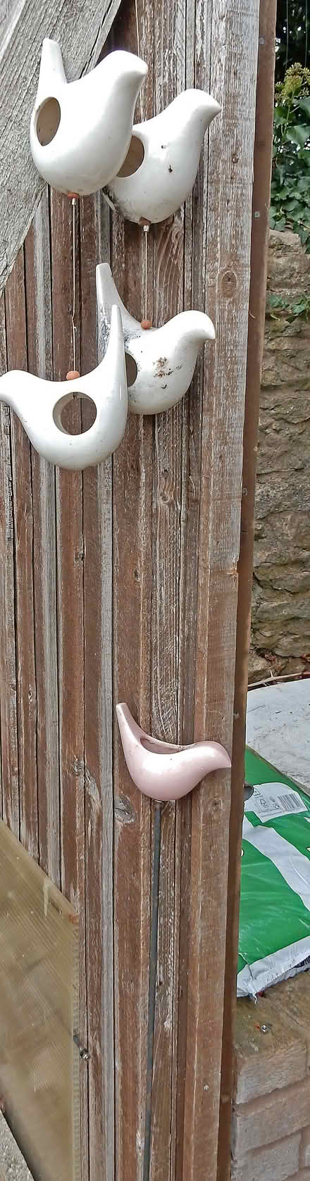 Photo of free Ceramic Bird Feeders (Bozeat NN29) #1
