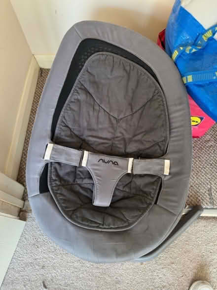 Photo of free Nuna leaf and playing Mat (Deer Park OX28) #1