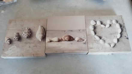 Photo of free set of 3 shell pictures (peacehaven BN10) #1