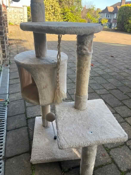 Photo of free cat tree (South Croydon CR2) #2