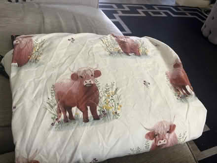 Photo of free King size duvet cover (Skerton LA1) #1