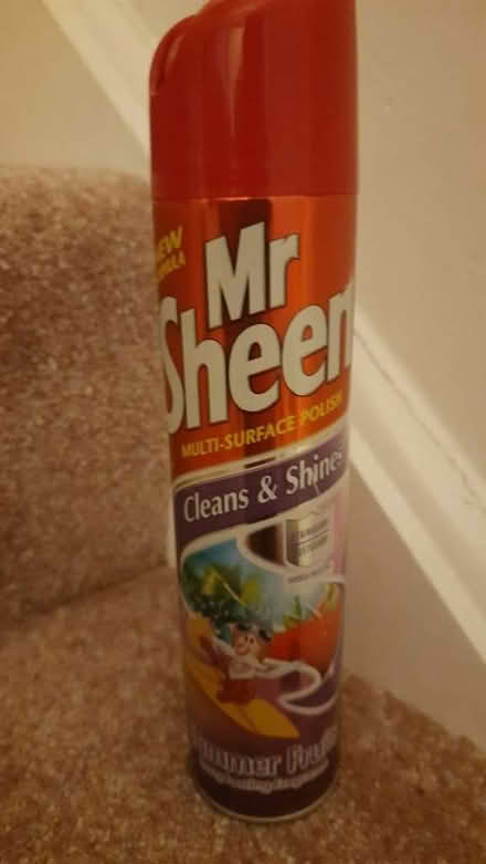 Photo of free Mr Sheen clean & shine (Byfleet KT14) #1