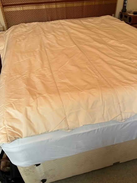 Photo of free Polyester duvets (Chalkhouse Green RG4) #1