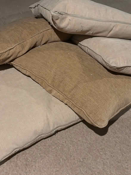 Photo of free Five large cushions (Kirkby Stephen CA17) #1