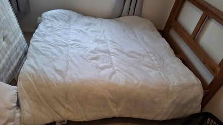 Photo of free duvets and almost new pillows (Whitehawk BN2) #4