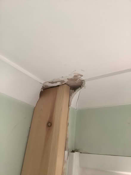 Photo of Plaster coving offcut (Mudeford BH23) #1