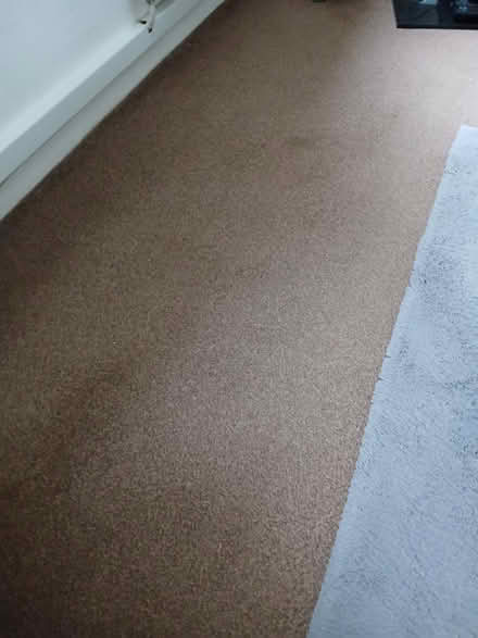 Photo of free Brown carpet (Killamarsh S21) #1