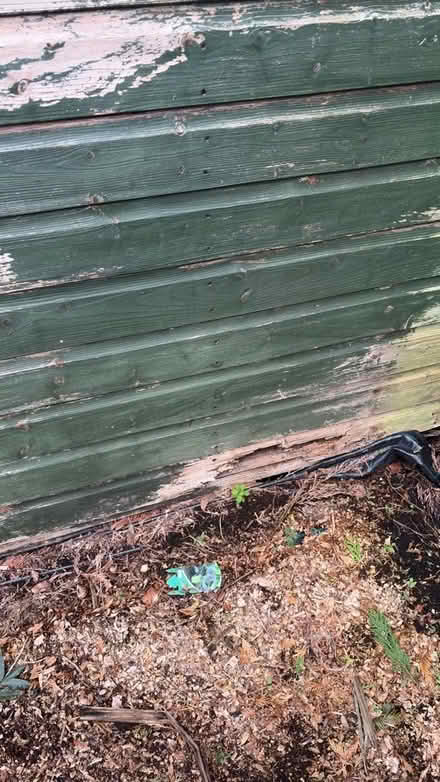 Photo of free Shed (Sale M33) #2