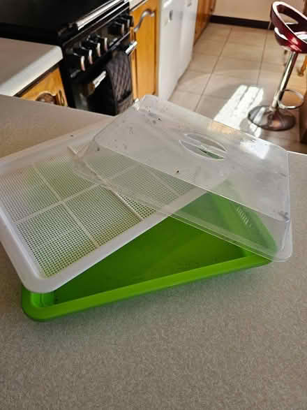 Photo of free Bean Sprout Propagator (Tiptree CO5) #3