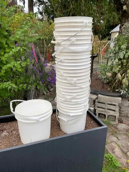Photo of free Empty honey containers (Northgate) #1
