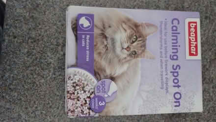 Photo of free Calming spot on for cats (Stoke-sub-Hamdon TA14) #1