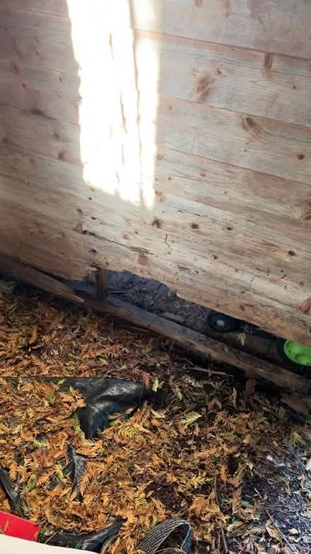 Photo of free Shed (Sale M33) #3