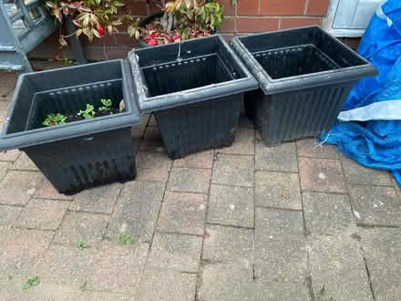 Photo of free 3 black plastic garden pant pots (Warrington WA5) #1