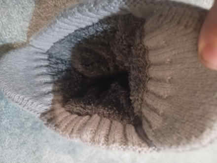 Photo of free Wooly hat fur lined (Colchester CO4 6) #2