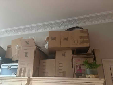 Photo of free Cardboard packing boxes (Canonbury N1) #1