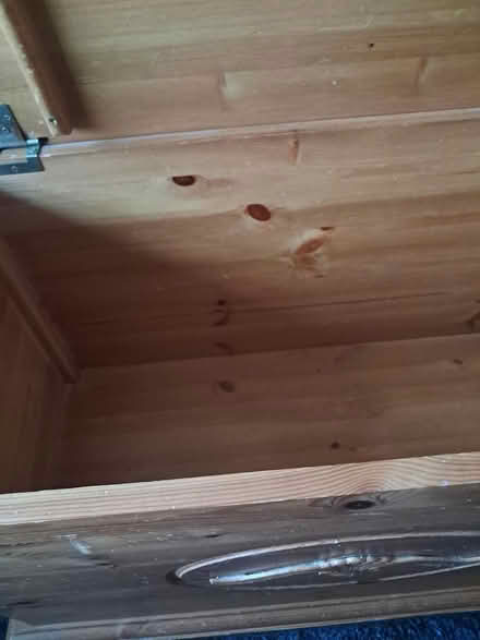 Photo of free Blanket box / storage chest (Reading RG4) #4