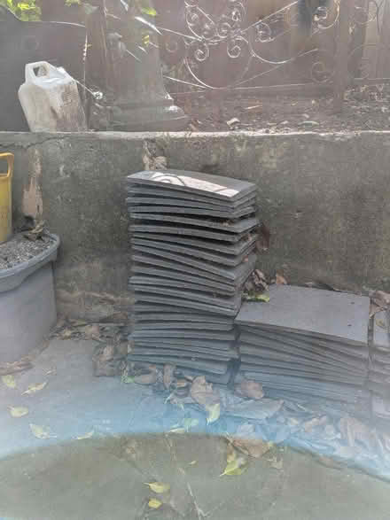 Photo of free Roof tiles (Twickenham TW1) #1
