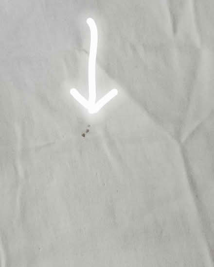 Photo of free Fancy Cotton sheet (Wellington Village) #2