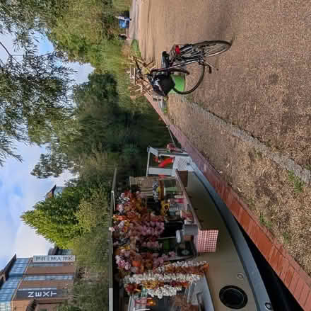 Photo of free Apollo Elyse bicycle (Horsell GU21) #1