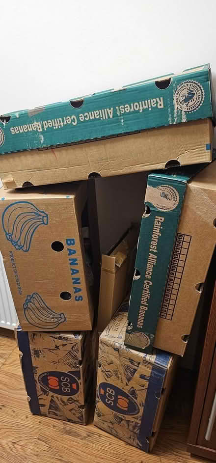 Photo of free Moving boxes (G78) #1