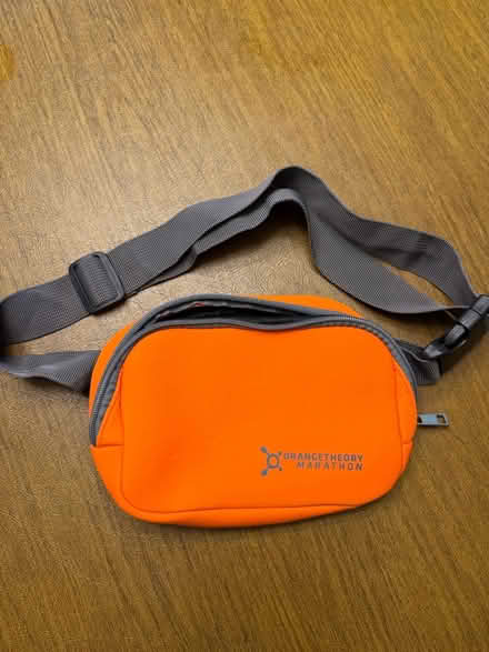 Photo of free belt bag (Wood Ridge) #1