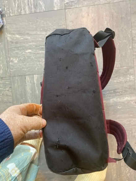 Photo of free Bag (Bletchley MK3) #3