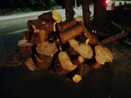 Photo of free Fire wood (Le60ft) #1