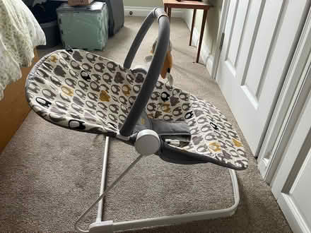 Photo of free Baby bouncer (Abingdon-on-Thames OX14) #2