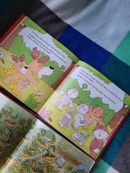 Photo of free 2 kids books (Feltham TW13) #3