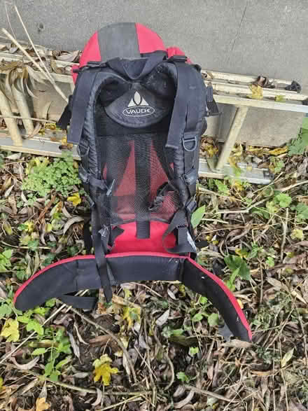 Photo of free Toddler/baby carrier (BS313EP) #3