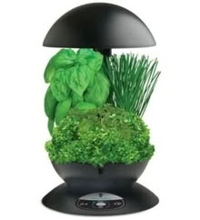 Photo of free AeroGarden 3 (Pleasant Valley, NY) #2