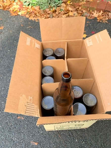 Photo of free 24 oz beer bottles (FSU neighborhood) #1