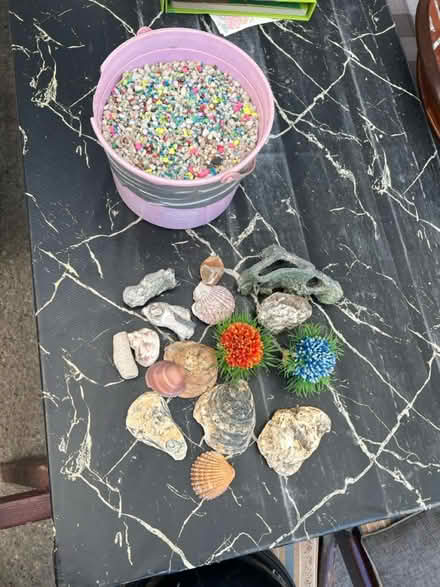 Photo of free Aquarium bits (UB7) #2