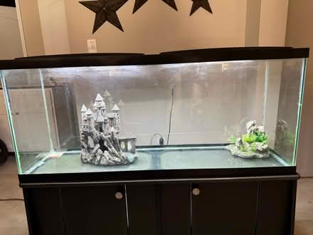 Photo of free Fish Tank (Lynchburg, VA) #2