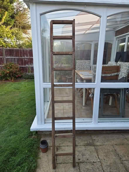 Photo of free Ladder/rack 2m high x 30cm wide (Fleetville AL1) #1