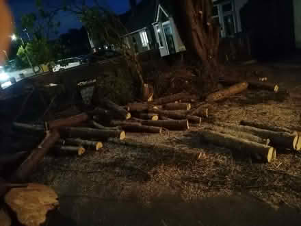 Photo of free Fire wood (Le60ft) #2