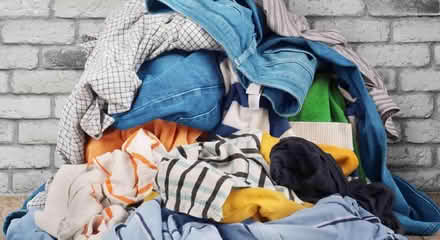 Photo of Old clothes/blankets/fabric for pet bedding 🐾 (Hartington Road BN2) #1