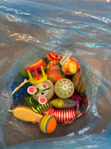 Photo of free Bag of cat toys (Great Boughton CH3) #1
