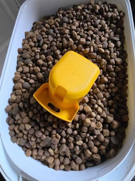 Photo of free Harringtons Superfood Kibble (Tardebigge, B97) #1