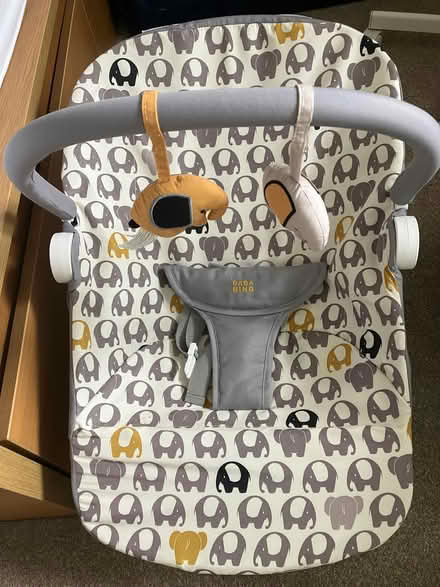 Photo of free Baby bouncer (Abingdon-on-Thames OX14) #1