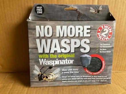 Photo of free Waspinators (Worlds End Burgess Hill RH15 0) #1