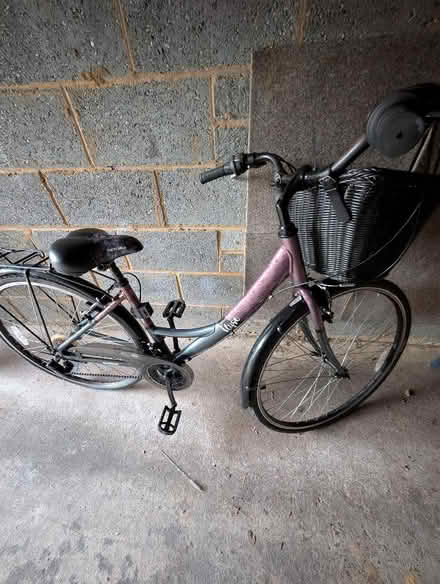 Photo of free Apollo Elyse bicycle (Horsell GU21) #3