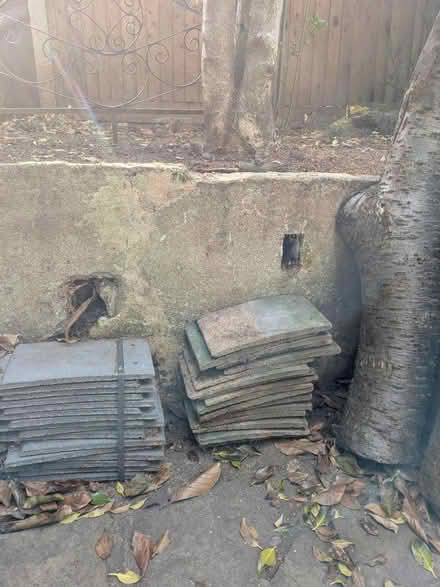 Photo of free Roof tiles (Twickenham TW1) #2
