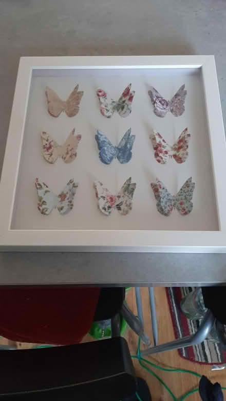 Photo of free luvly butterflies picture (peacehaven BN10) #1