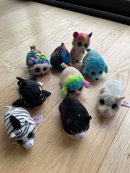 Photo of free Nine mini Ty toys (North Road BA2) #1